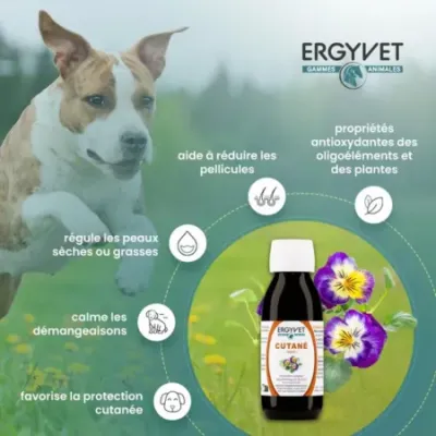Ergyvet Cutané